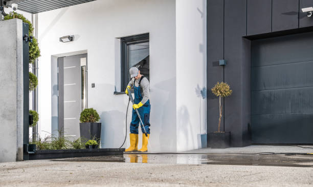 Best Driveway Pressure Washing  in Crystal, MN